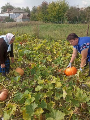 Социальные работники собрали урожай у получателей социальных услуг