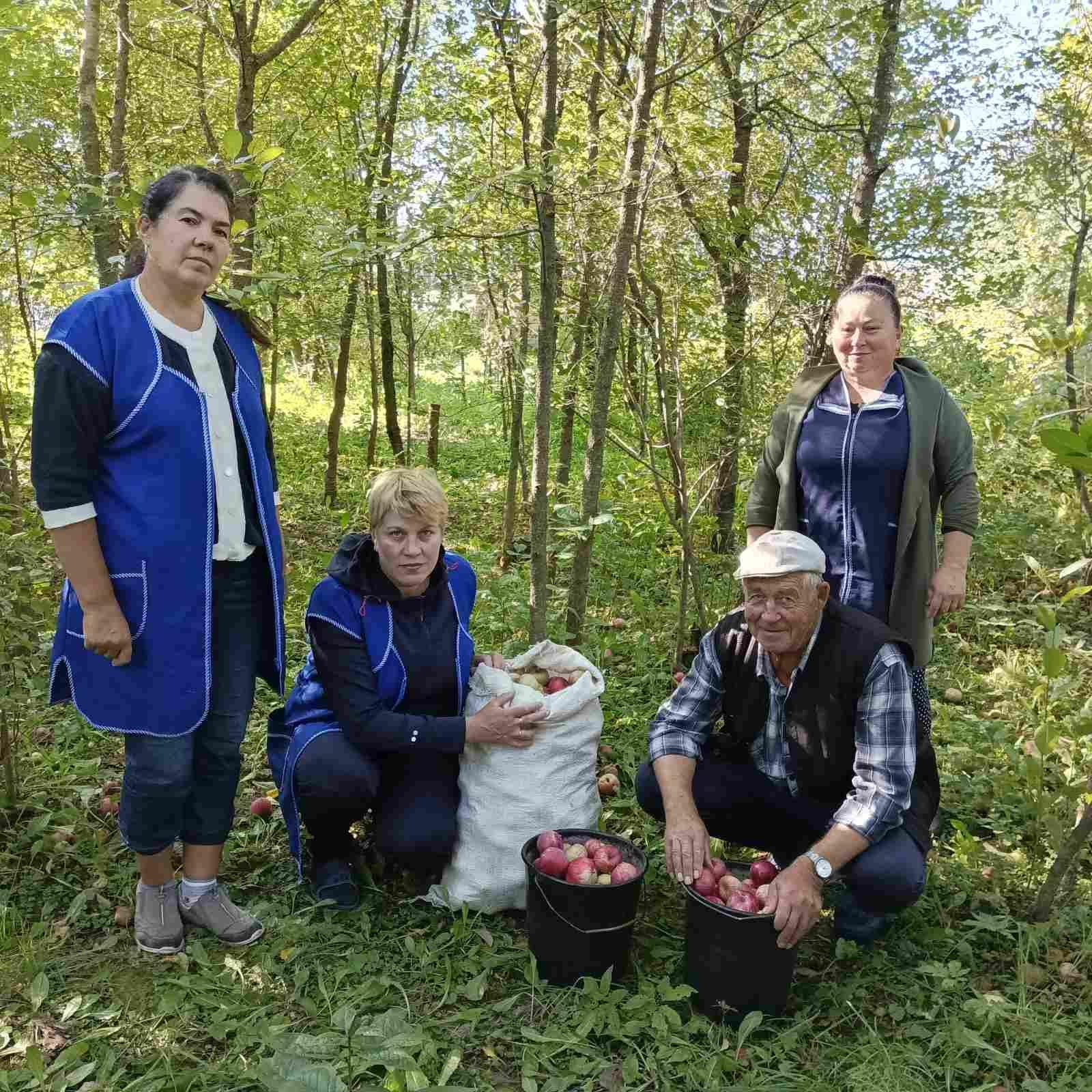 Социальные работники помогли собрать урожай яблок