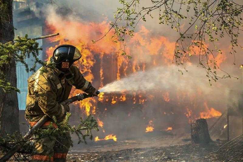 Правила пожарной безопасности на природе