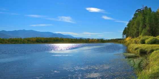 Безопасность на водных объектах в летний период года 