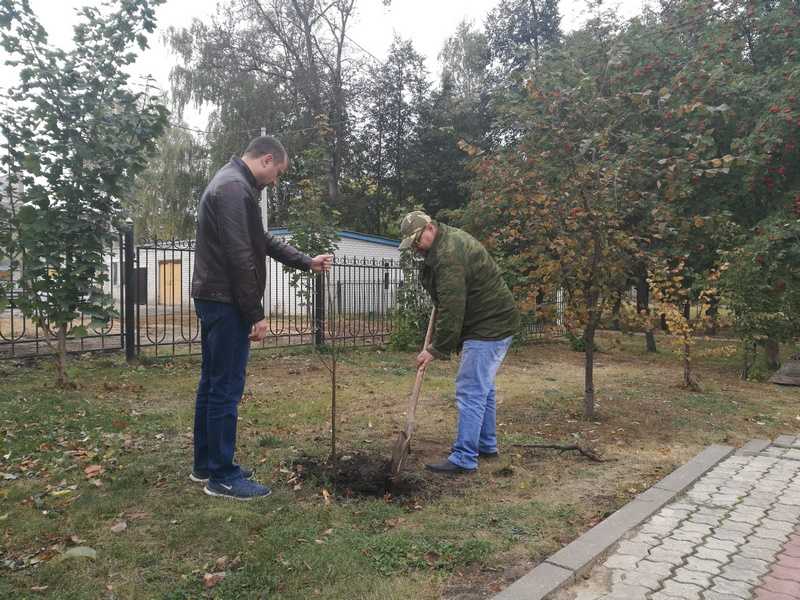 Акция по благоустройству посёлка Шатки