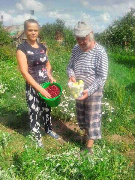 «Бабушкин погребок» 